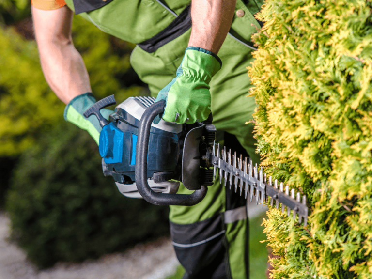 Garden Tools & Equipment